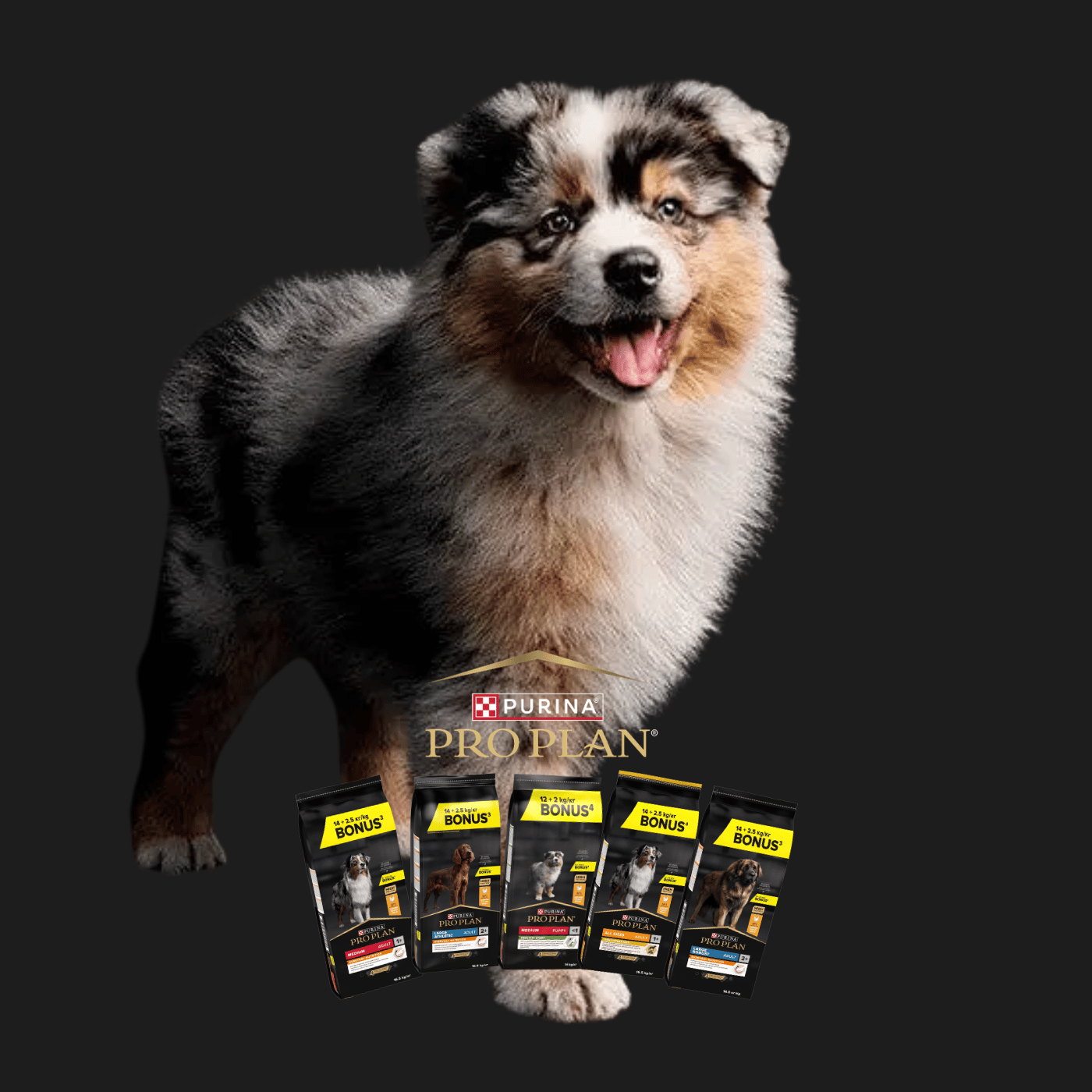 SHOPTHELOOK_2026_05_OP PROPLAN