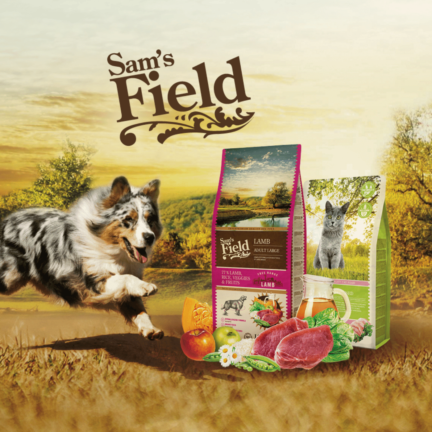 SHOPTHELOOK_2026_06_RETAIL MEDIA_SAM'S FIELD