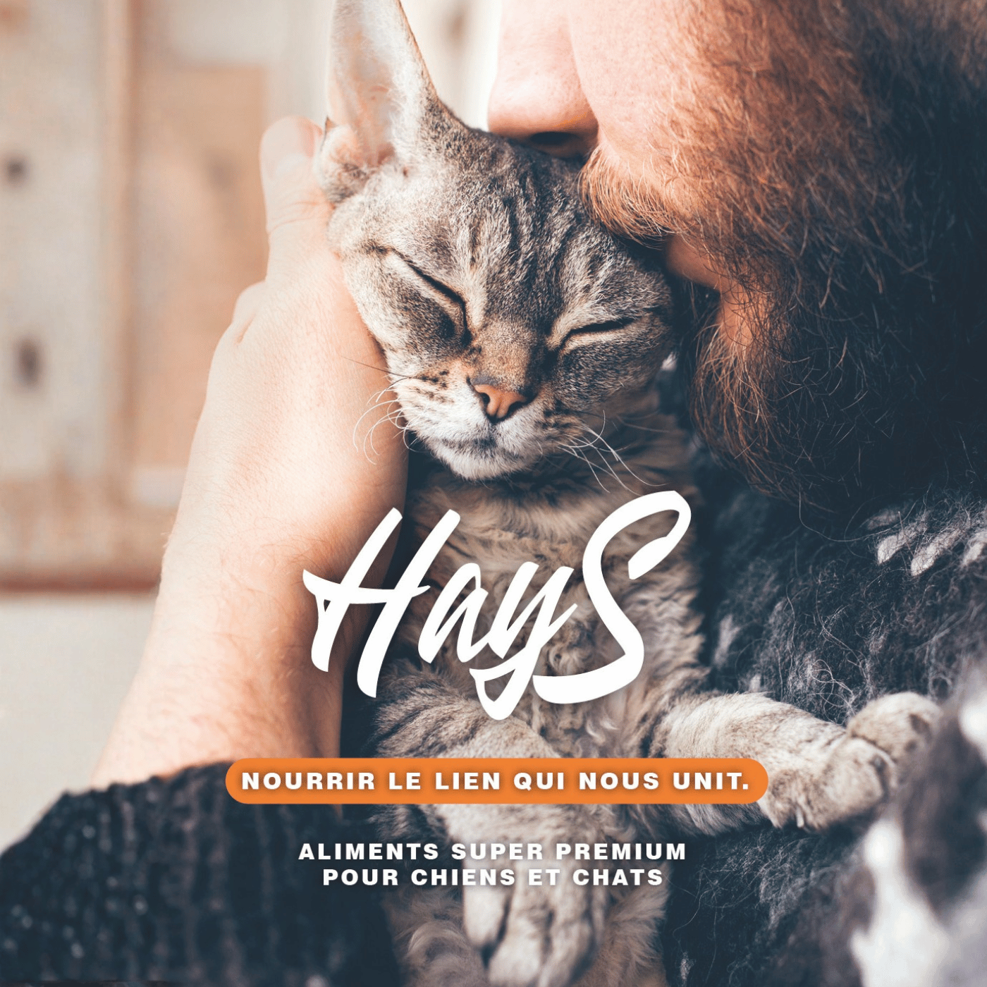 Personne tenant un chat dans ses bras