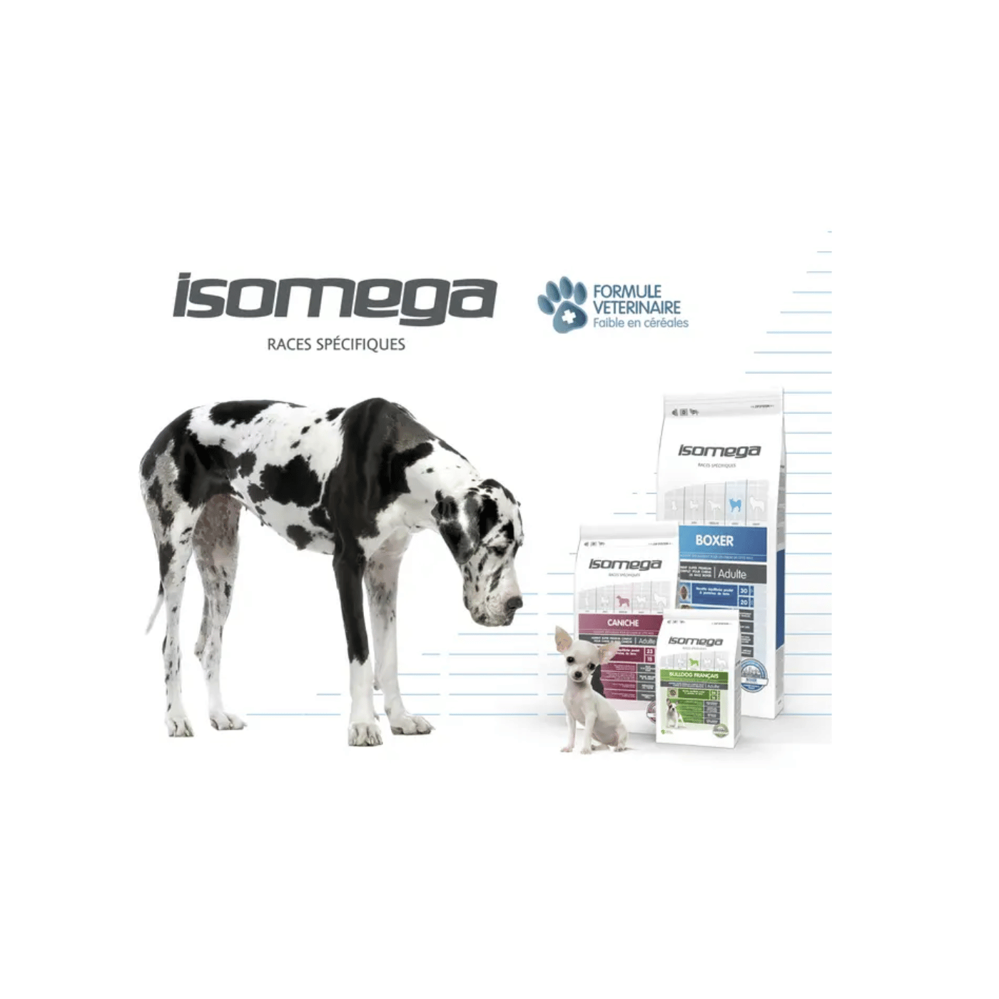 Visuel marque Isomega