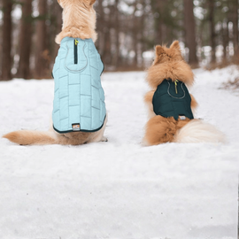MEA_Automne_Manteaux_CHien