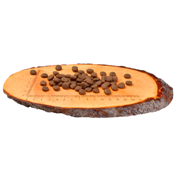 Visuel 2 du produit Croquettes Chien - Carnilove Chiot Sans Céréales Salmon & Turkey - 1,5kg