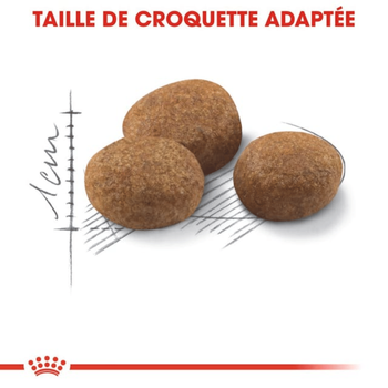 Visuel 2 du produit Croquettes Chat - Royal Canin Sterilised 7+ - 10 kg