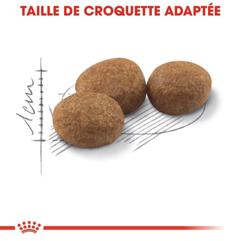 Visuel 2 du produit Croquettes Chat – Royal Canin Sterilised 37 - 4 kg