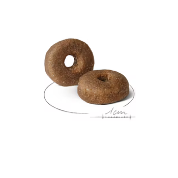 Visuel 2 du produit Croquettes Chien - Royal Canin Maxi Ageing 8+ - 15 kg