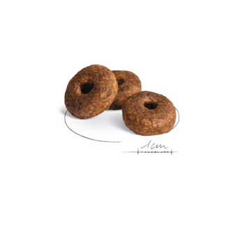 Visuel 2 du produit Croquettes Chien - Royal Canin Medium Ageing 10+ - 15 kg