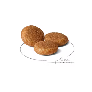 Visuel 2 du produit Croquettes Chien – Royal Canin Medium Adulte – 15 kg