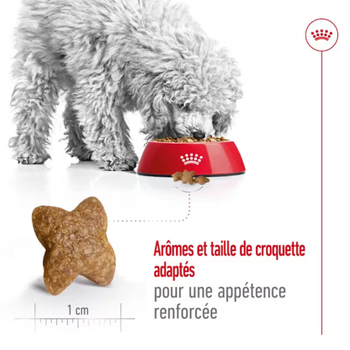 Visuel 2 du produit Croquettes Chien – Royal Canin Mini adulte – 4 kg