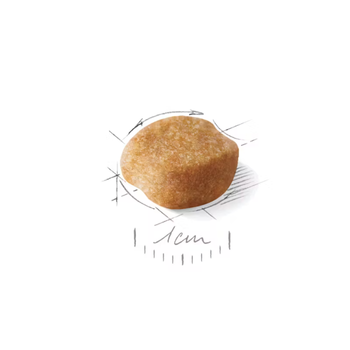 Visuel 2 du produit Croquettes Chien – Royal Canin Yorkshire Terrier Adulte – 1,5 kg