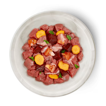 Visuel 2 du produit Boîtes Chat - Terra Felis bœuf - 80 g