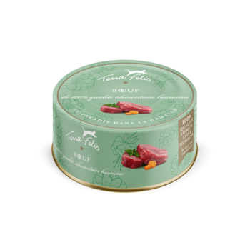 Visuel 1 du produit Boîtes Chat - Terra Felis bœuf - 80 g