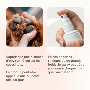 Visuel 2 du produit Soin Chien – Beaphar Pulvérisateur Coussinets – 150 ml