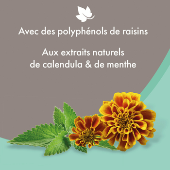 Visuel 2 du produit Hygiène Chien – Beaphar shampooing premium anti-démangeaisons – 250 ml