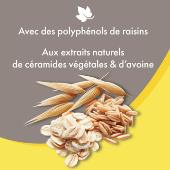 Visuel 2 du produit Hygiène Chien – Beaphar shampooing premium démêlant 2 en 1 – 250 ml