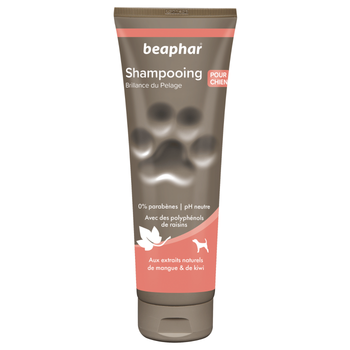 Visuel 1 du produit Hygiène Chien – Beaphar shampooing premium éclat du pelage – 250 ml