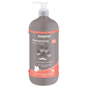 Visuel 1 du produit Hygiène Chien – Beaphar shampooing premium éclat du pelage – 750 ml