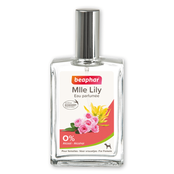 Visuel 1 du produit Soin Chien - Beaphar Eau parfumée Mlle Lilly pour chien femelle - 50 ml
