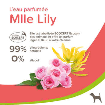 Visuel 2 du produit Soin Chien - Beaphar Eau parfumée Mlle Lilly pour chien femelle - 50 ml