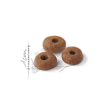 Visuel 2 du produit Croquettes Chat – Royal Canin Fit 32 – 4 kg