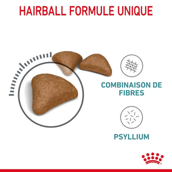 Visuel 2 du produit Croquettes Chat – Royal Canin Hairball Care - 2 kg