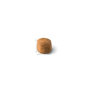 Visuel 2 du produit Croquettes Chat – Royal Canin Maine Coon -  4 kg