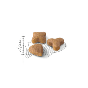 Visuel 2 du produit Croquettes Chat – Royal Canin Sensible 33 – 4 kg