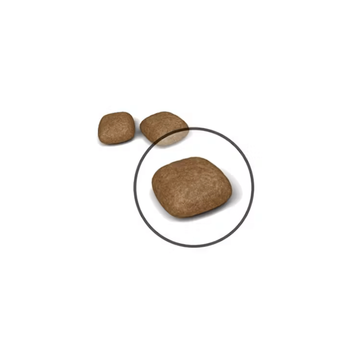 Visuel 2 du produit Croquettes Chat – Royal Canin Urinary Care – 2 kg