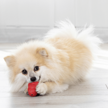 Visuel 2 du produit Jouet Chien – KONG® Classic Rouge
