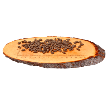 Visuel 2 du produit Croquettes Chat - Carnilove Cat Saumon 0,4kg