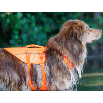 Visuel 2 du produit Kyflie Harnais de flottaison Nomad Chien Orange L - 71/85 cm