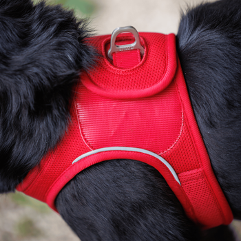 Visuel 2 du produit Harnais Chien - Kyflie Harnais veste Momentum Air Rose - Taille S
