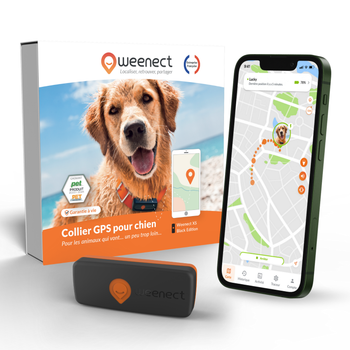 Visuel 1 du produit Sécurité Chien - Weenect GPS noir XS – 60 X 23 X 12 mm