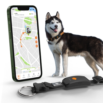 Visuel 2 du produit Weenect GPS Chien XT noir