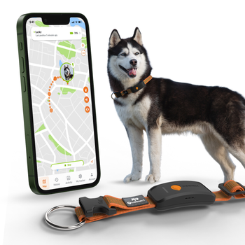 Visuel 2 du produit Weenect GPS Chien XT orange