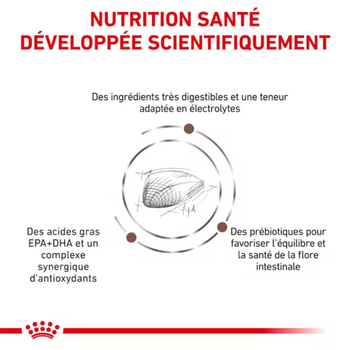 Visuel 2 du produit Croquettes Chat – Royal Canin Gastrointestinale – 2 kg