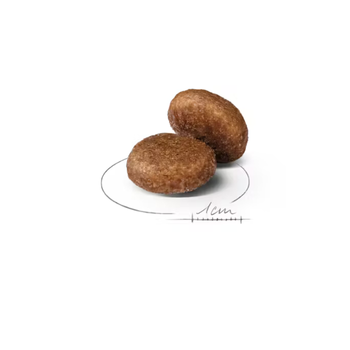 Visuel 2 du produit Croquettes Chien – Royal Canin Maxi Adulte 5+ - 15 kg