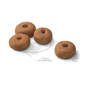 Visuel 2 du produit Croquettes Chien – Royal Canin Maxi Sterilised Adult – 12 kg