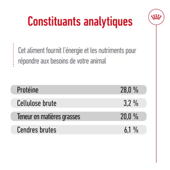 Visuel 2 du produit Croquettes Chien – Royal Canin Giant Adulte – 15 kg