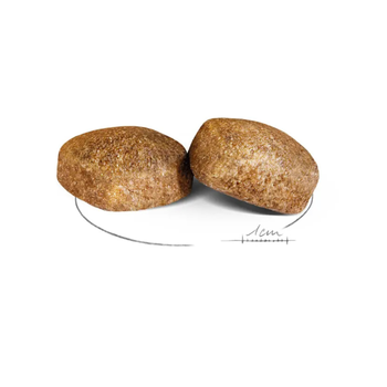 Visuel 2 du produit Croquettes Chien – Royal Canin Giant Adulte – 15 kg
