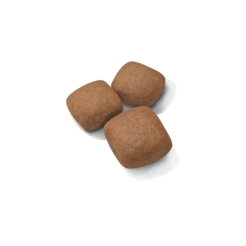 Visuel 2 du produit Croquettes Chien – Royal Canin Giant Junior – 15 kg