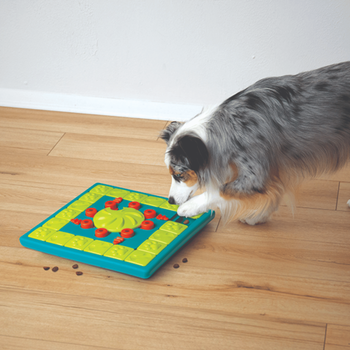 Visuel 2 du produit Nina Ottosson Jouet d'intelligence Chien Multipuzzle niveau 4 - 37,7 x 37,7 x 4,7 cm