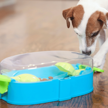 Visuel 2 du produit Nina Ottonsson Jouet Chien Paw N'Play - Niveau 2