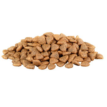 Visuel 2 du produit Croquettes Chat Stérilisé Sans Céréales - Sa Vraie Nature Saumon - 2 kg