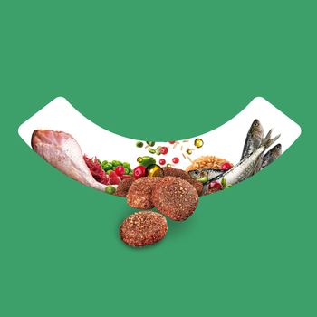 Visuel 2 du produit Sa Vraie Nature Croquettes Light Chien Senior Dinde et Sardine - 12 kg