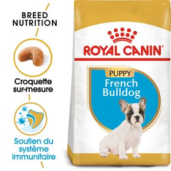 Visuel 2 du produit Royal Canin Croquettes Bouledogue Français Junior - 10 kg