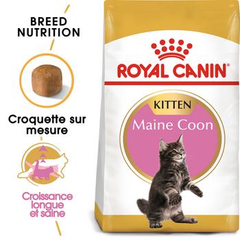 Visuel 2 du produit Royal Canin Croquettes Chaton Maine Coon - 2 kg