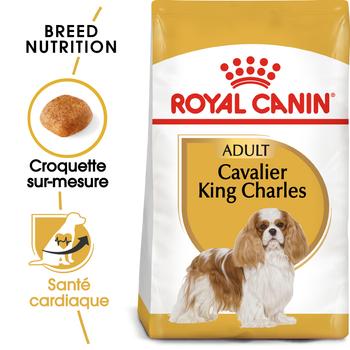 Visuel 2 du produit Royal Canin Croquettes Chien Cavalier King Charles Adult - 7,5 kg