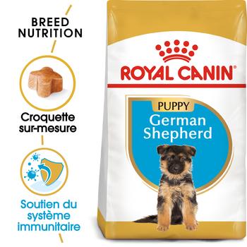 Visuel 1 du produit Royal Canin Croquettes Chiot Berger Allemand - 12 kg
