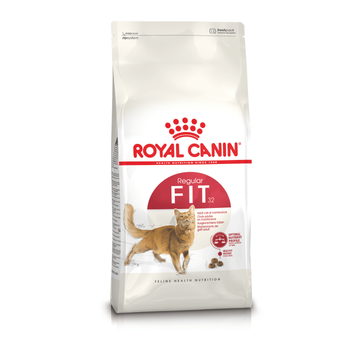 Visuel 1 du produit Croquettes Chat – Royal Canin Fit 32 – 400 g