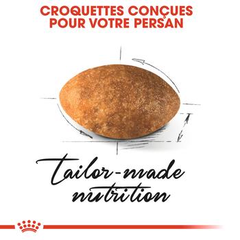 Visuel 2 du produit Croquettes Chat – Royal Canin Persan Adulte – 2 kg